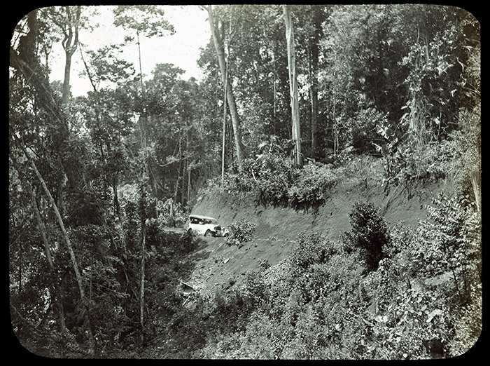 7 - 66. Cairns Road, Yungaburra Ranges, Queensland.jpg - 7 - Cairns Road, Yungaburra Ranges, Queensland